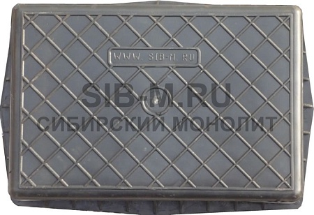 Амур